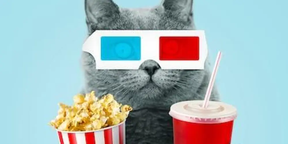 Imagem do grupo de WhatsApp PIPOCANDO AMIGOS