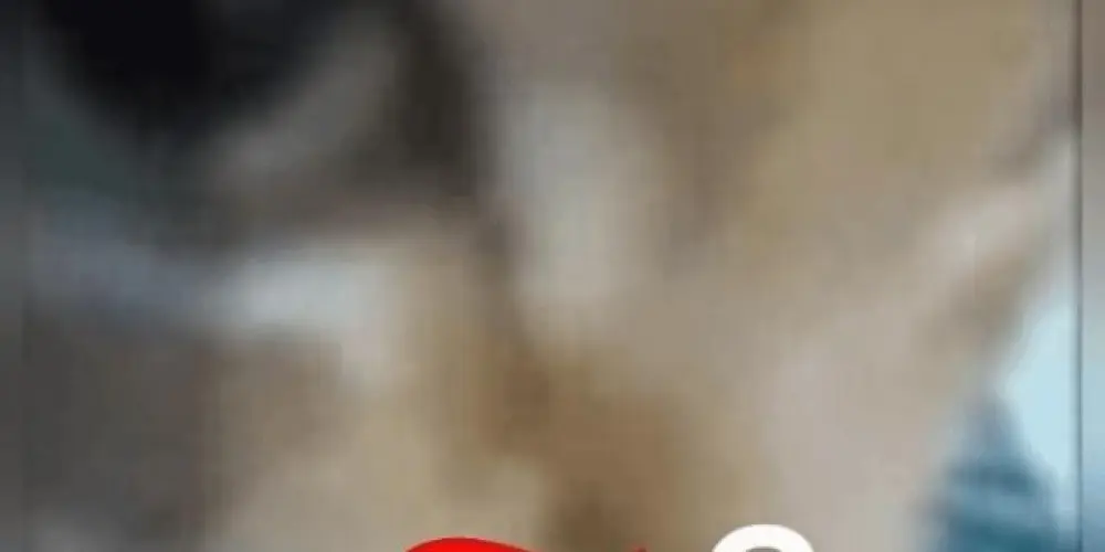 Imagem do grupo de WhatsApp PIRANHAS COM RESPEITO