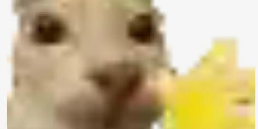 Imagem do grupo de WhatsApp PITACOS&ESTUDO 📚🧙🏾