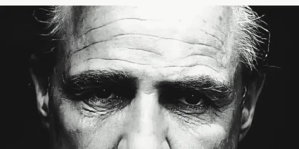 Imagem do grupo de WhatsApp Pitbull do samba