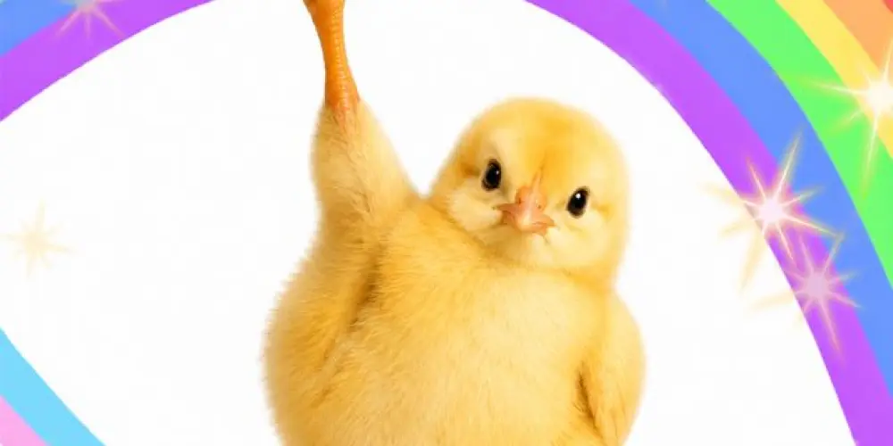 Imagem do grupo de WhatsApp 🐥🌈 Piu Piu Sticker Club