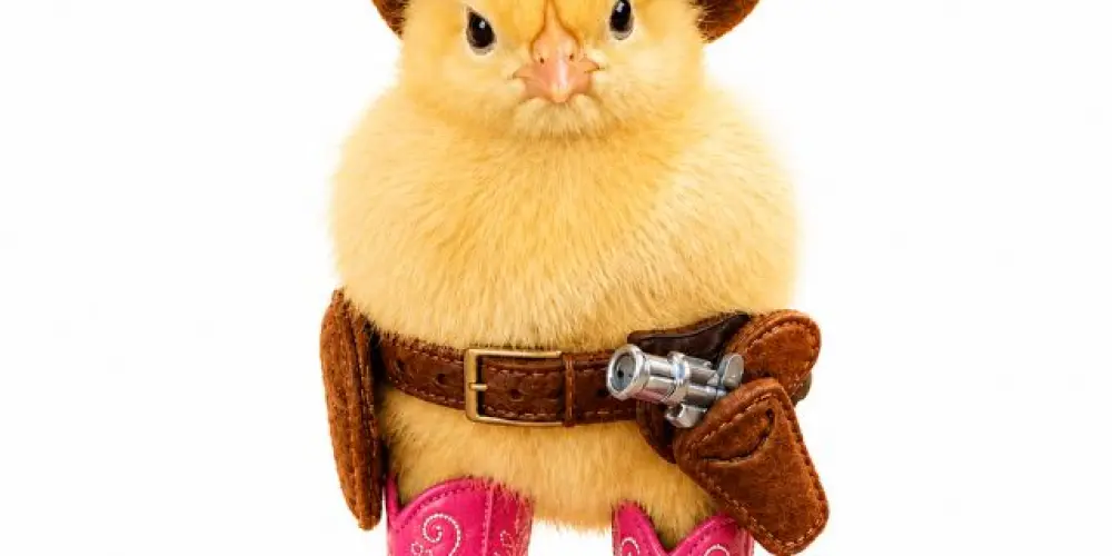 Imagem do grupo de WhatsApp Piu Piu Sticker Club 🐥🔥