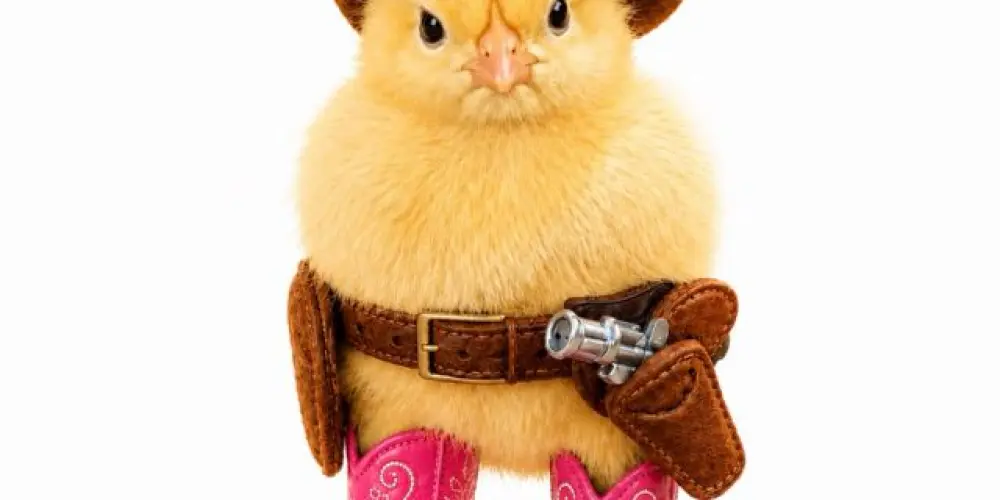 Imagem do grupo de WhatsApp Piu Piu Sticker Club 🐥🔥