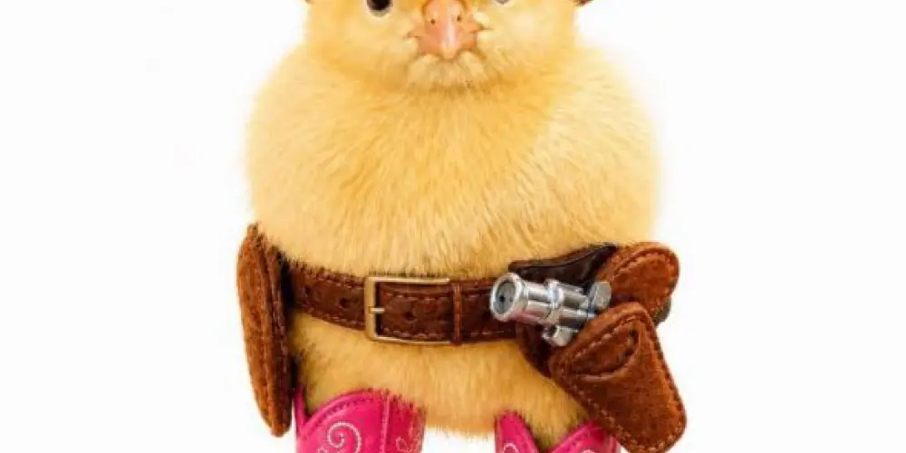 Imagem do grupo de WhatsApp Piu Piu Sticker Club 🐥🌟