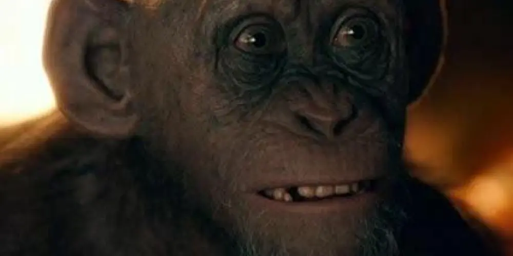 Imagem do grupo de WhatsApp Planeta dos macacos