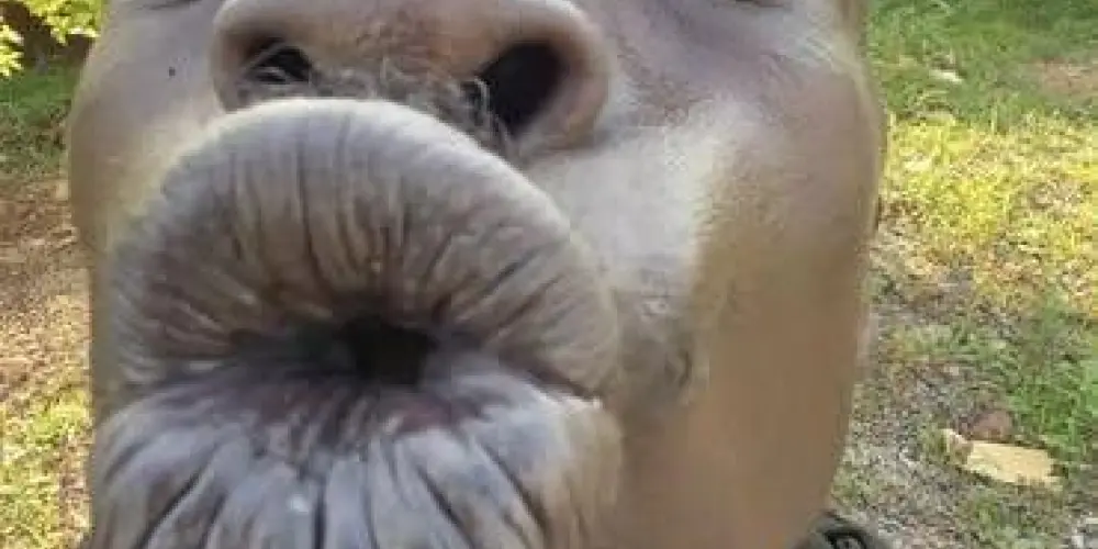 Imagem do grupo de WhatsApp Planeta dos Sem Filtro