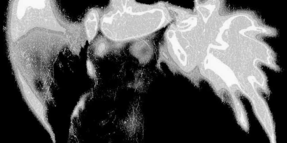 Imagem do grupo de WhatsApp Planeta Garota