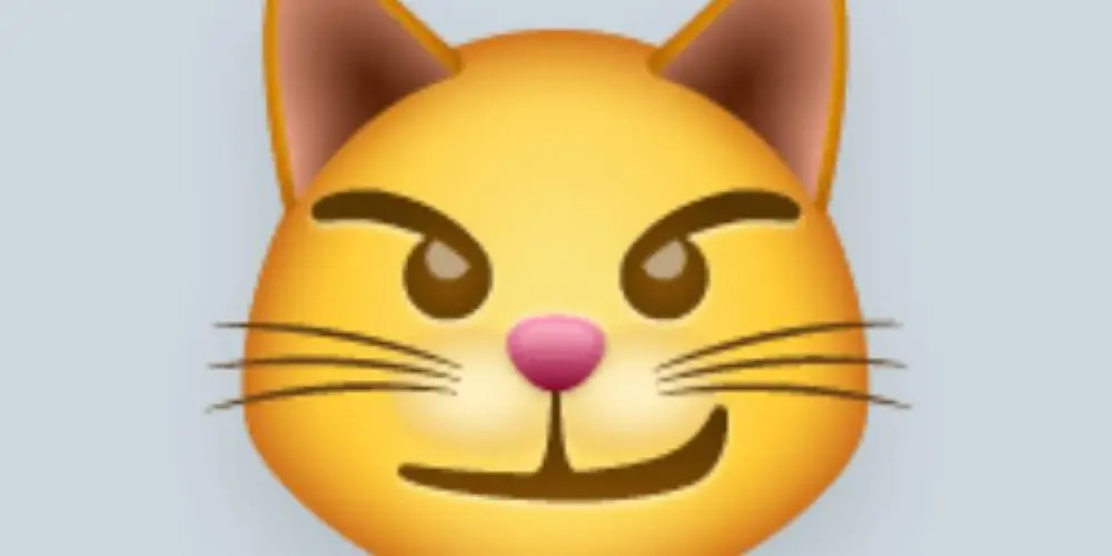 Imagem do grupo de WhatsApp Plantão Dos Sem Noção😽