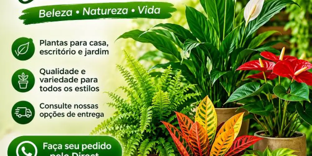 Imagem do grupo de WhatsApp Plantas ornamentais