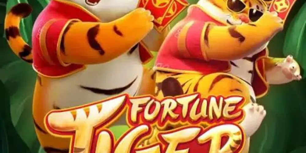 Imagem do grupo de WhatsApp Plataforma chinesa