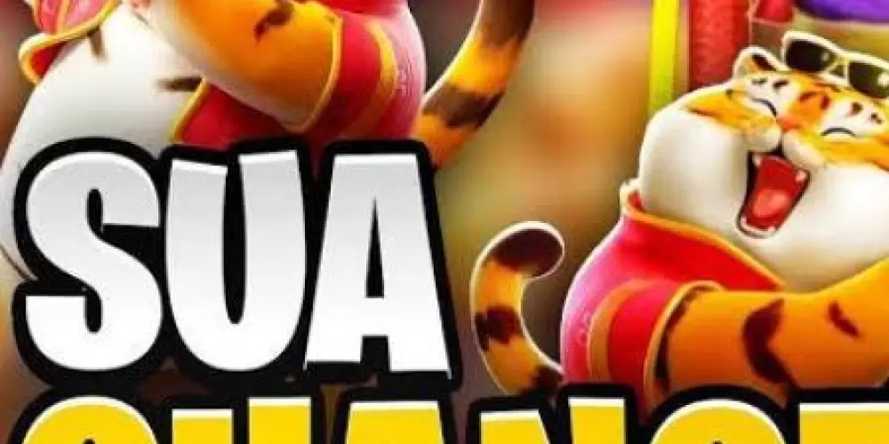 Imagem do grupo de WhatsApp Plataforma pagante