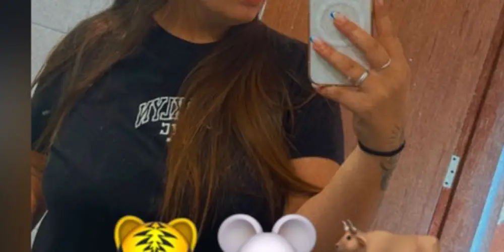 Imagem do grupo de WhatsApp Plataformas da Paam 🩷🐯🐭🐂