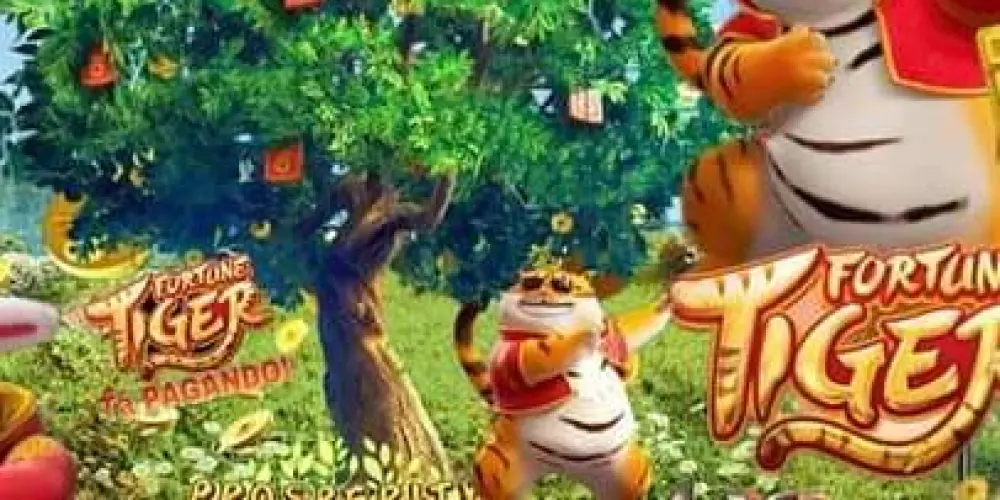 Imagem do grupo de WhatsApp PLATAFORMAS E SLOTS COM BÔNUS E MÉTODOS