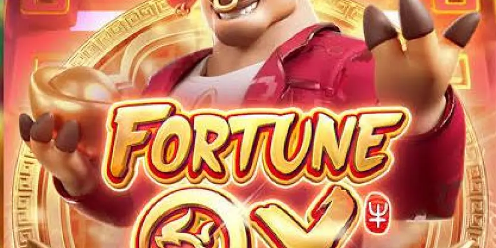 Imagem do grupo de WhatsApp PLATAFORMAS NOVAS 2026💸💰💵🚀🚀