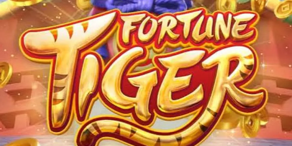 Imagem do grupo de WhatsApp Plataformas on