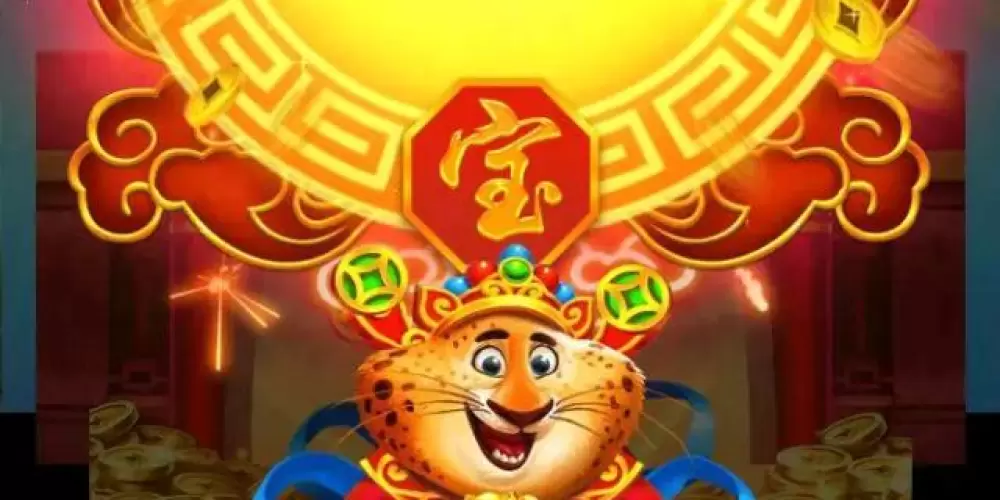 Imagem do grupo de WhatsApp Plataformas pagantes