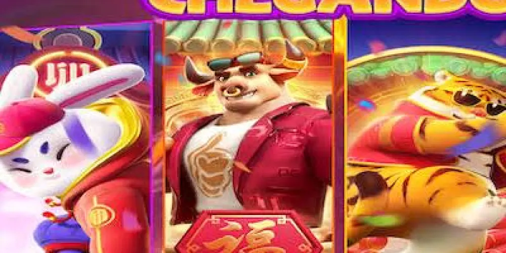 Imagem do grupo de WhatsApp Plataformas pagantes