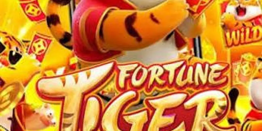 Imagem do grupo de WhatsApp Plataformas pagantes bônus 09💰💸