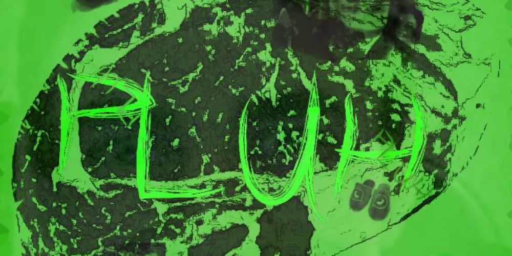 Imagem do grupo de WhatsApp PLUH