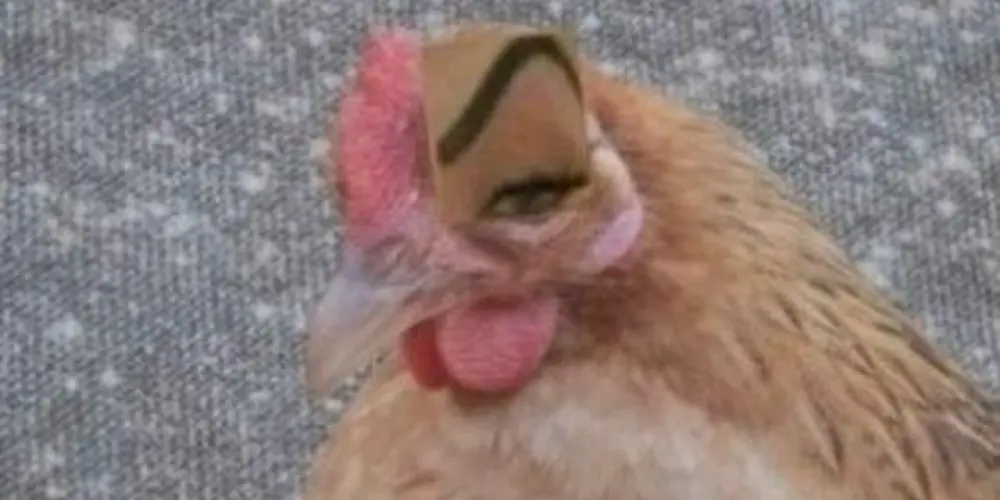 Imagem do grupo de WhatsApp 🗿🍷 PÔ PÔ 🐔🤨