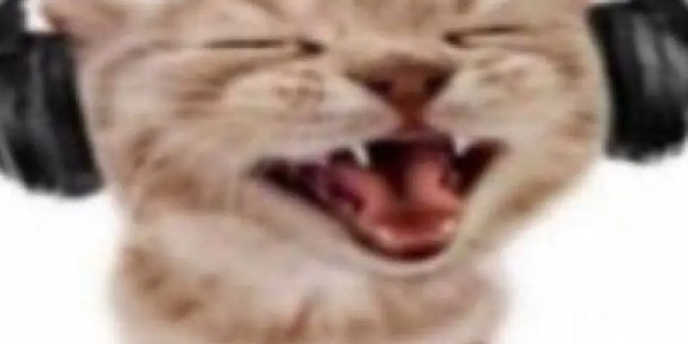 Imagem do grupo de WhatsApp PODE TUDO 2.0 😍