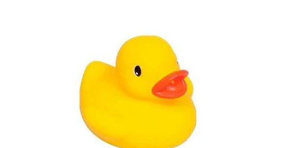 Imagem do grupo de WhatsApp Pode tudo