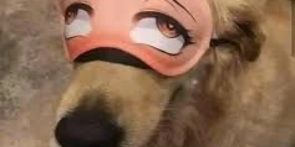 Imagem do grupo de WhatsApp Pode tudo 💥🤤