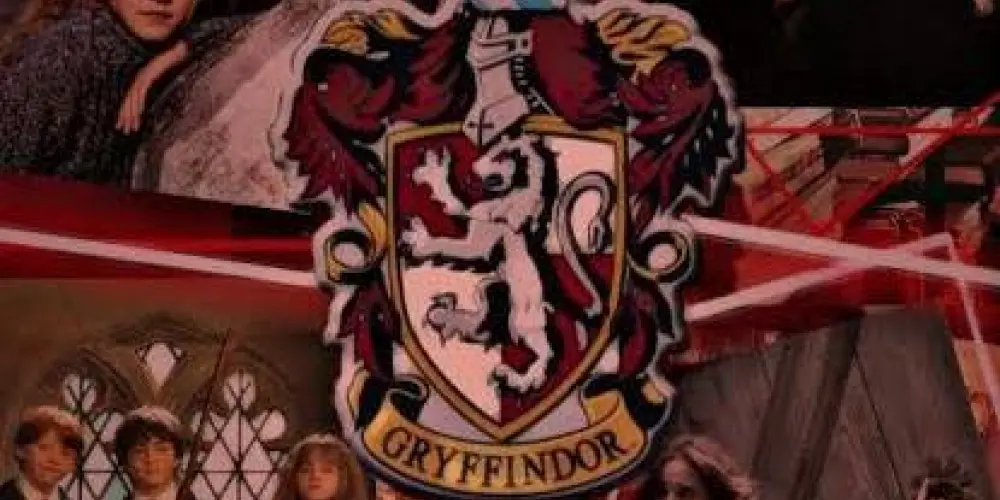 Imagem do grupo de WhatsApp Pode tudo em grifinoria