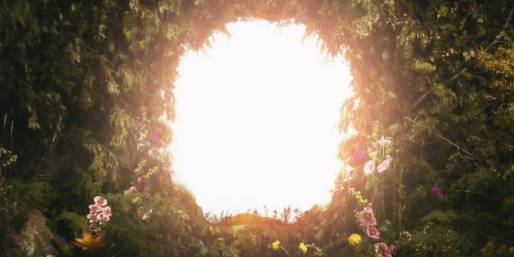 Imagem do grupo de WhatsApp Portals