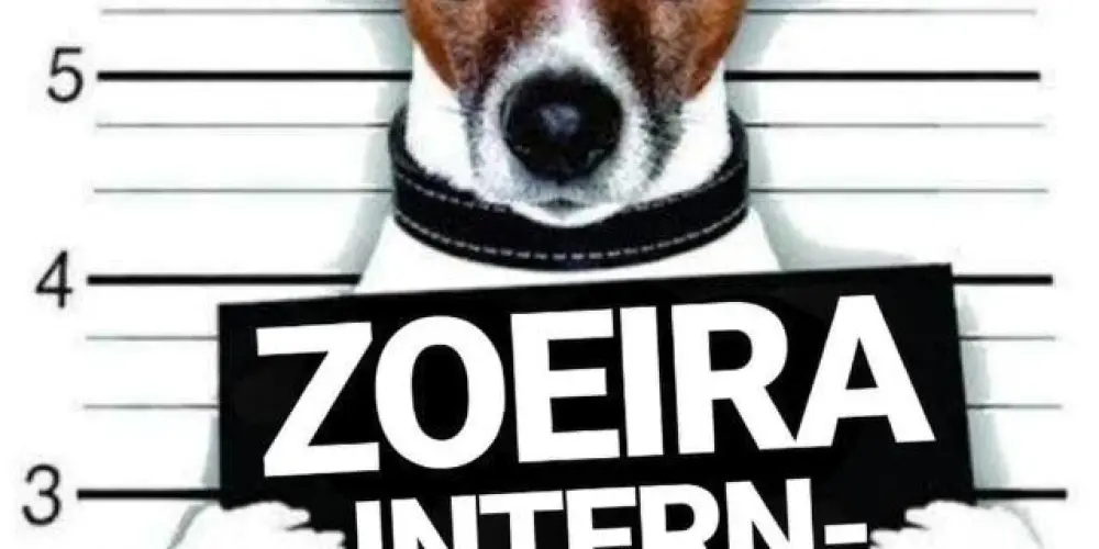 Imagem do grupo de WhatsApp Portuga e brazuca