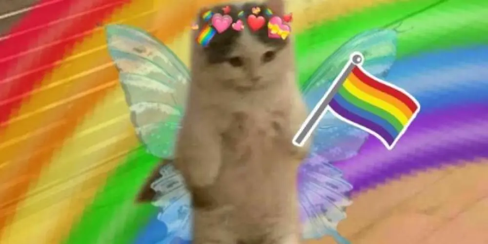 Imagem do grupo de WhatsApp PortuGAYS/ GRUPO LGBTQ