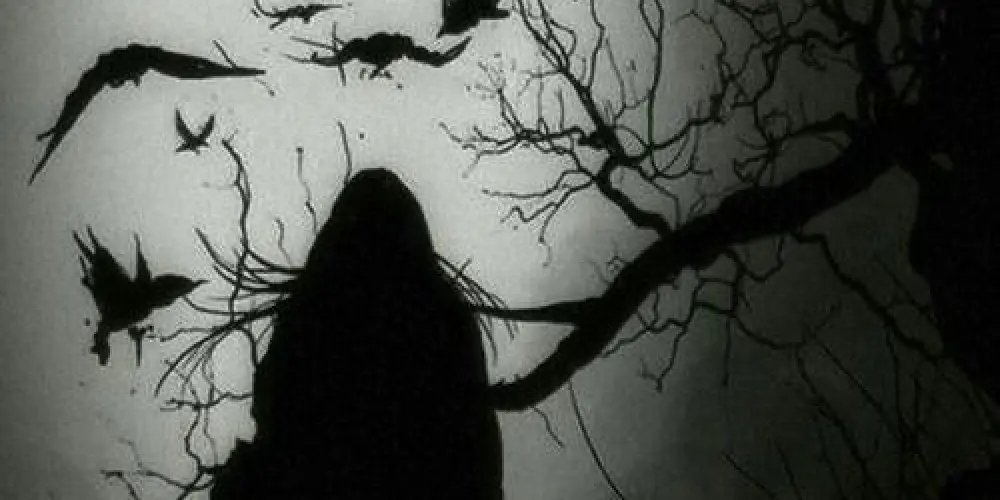 Imagem do grupo de WhatsApp †⁺☽◯☾⁺˖Pøssuidøß⋆˖☽◯☾⁺†