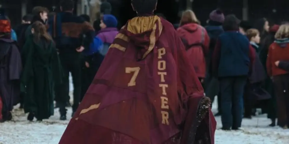 Imagem do grupo de WhatsApp Potterclã