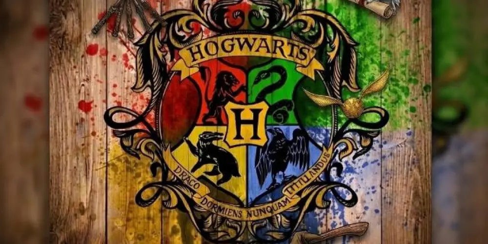 Imagem do grupo de WhatsApp *🧹🪄📚POTTERHEADS & GEEKS🪙🏦🍺*