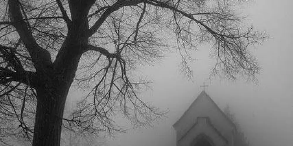 Imagem do grupo de WhatsApp P.P