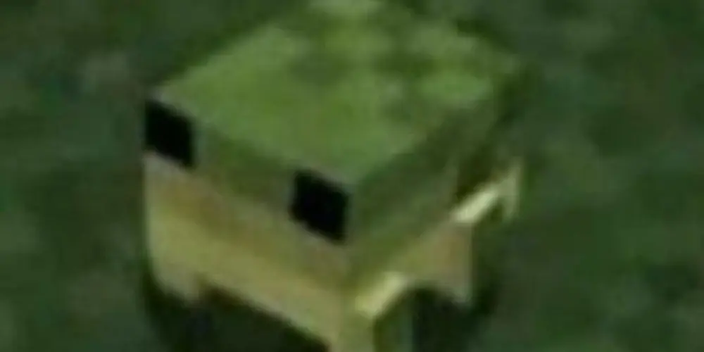 Imagem do grupo de WhatsApp Pra Amizade