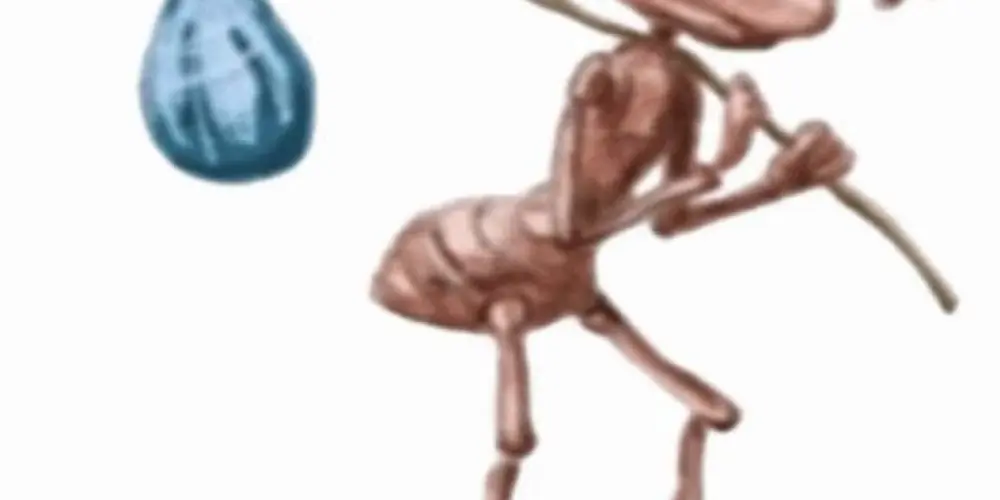 Imagem do grupo de WhatsApp Preciso de dinheiro