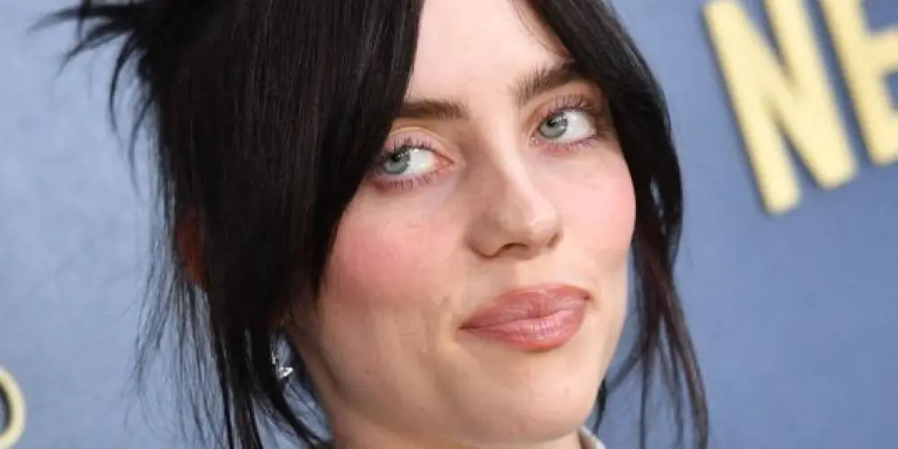 Imagem do grupo de WhatsApp 🤍𝑻𝒉𝒆 𝑩𝒊𝒍𝒍𝒊𝒆 𝑬𝒊𝒍𝒊𝒔𝒉 (Principal)