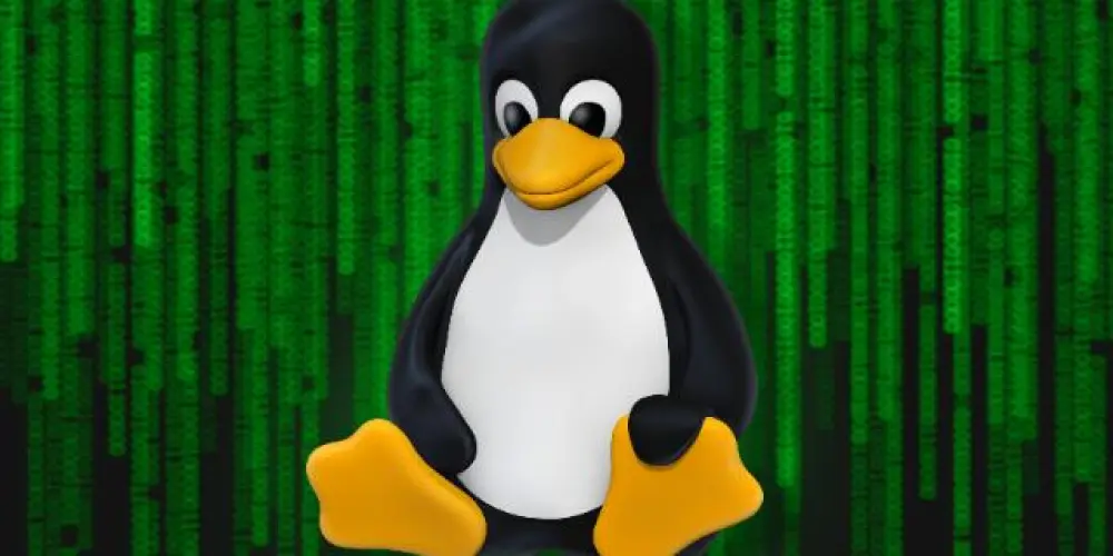 Imagem do grupo de WhatsApp print('Serviços de H4CK1NĠ!!') 🔥💻📶