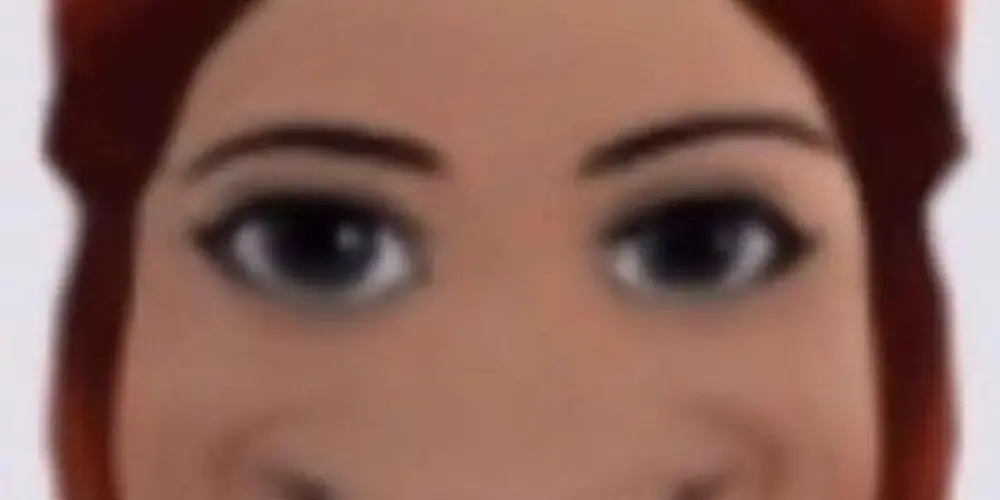 Imagem do grupo de WhatsApp ̶P̶r̶o̶ ̶p̶l̶a̶y̶e̶r̶s̶ ̶d̶o̶ 𝕣𝕠𝕓𝕝𝕠𝕩