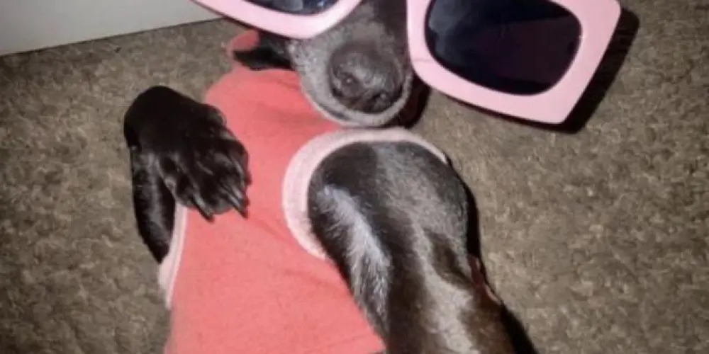 Imagem do grupo de WhatsApp 💯 problemas