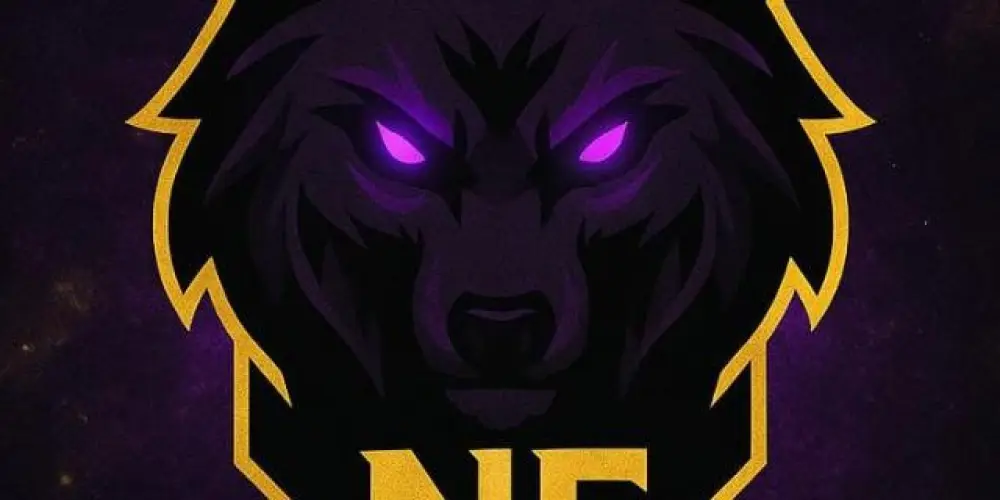 Imagem do grupo de WhatsApp PROCESSO SELETIVO - EQUIPE NF 🐺💜