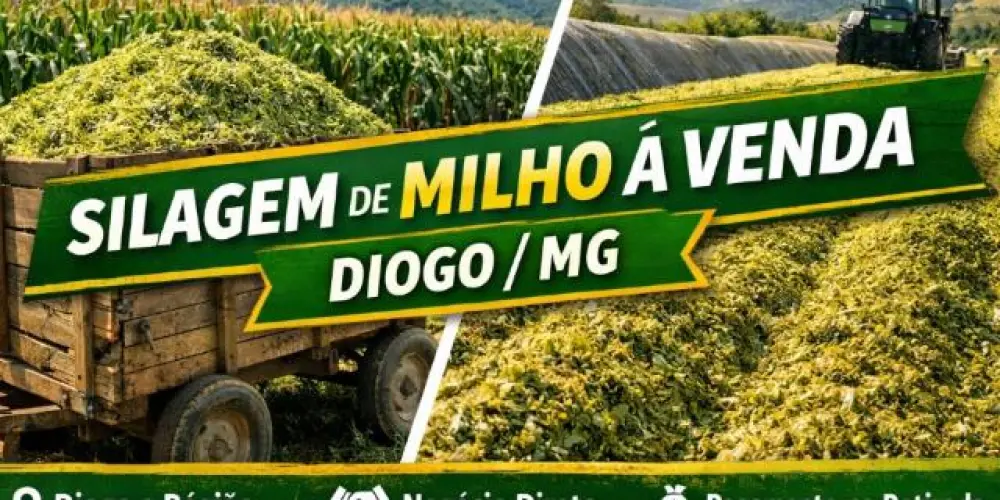 Imagem do grupo de WhatsApp 🔰Produtores Rurais Diogo/MG