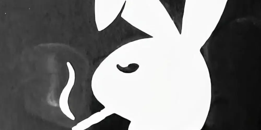 Imagem do grupo de WhatsApp PROIBIDÃO