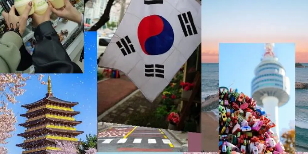 Imagem do grupo de WhatsApp Projeto Coreia do sul 🫰🥰🌺