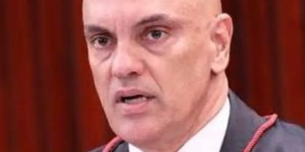 Imagem do grupo de WhatsApp PROJETO X