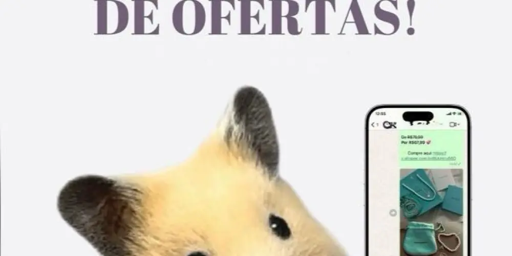 Imagem do grupo de WhatsApp Promogirls🛍️🎀