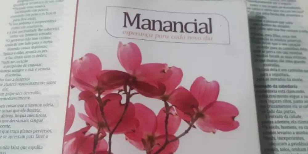 Imagem do grupo de WhatsApp PROVÉRBIOS