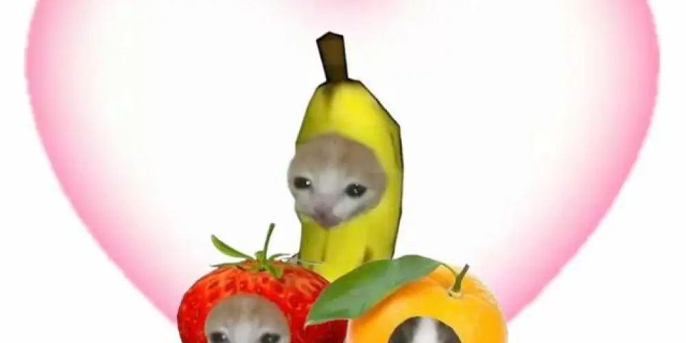 Imagem do grupo de WhatsApp Psicólogo do Buteco 👻