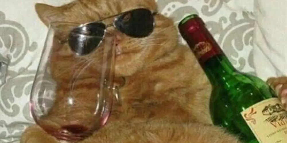 Imagem do grupo de WhatsApp Psicólogos de boteco🤪🔥